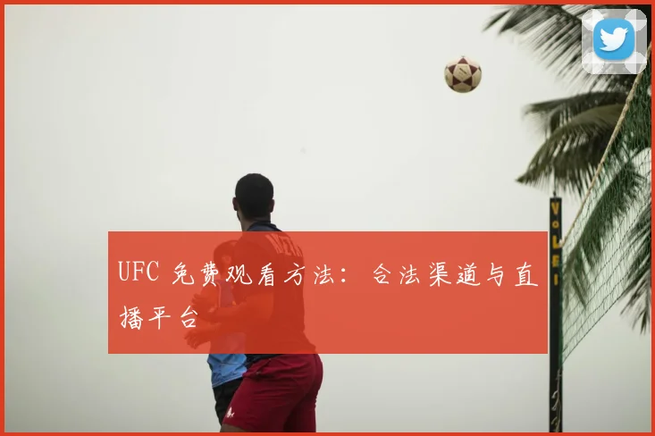 UFC 免费观看方法：合法渠道与直播平台