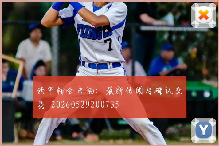 西甲转会市场:最新传闻与确认交易_20260529200735